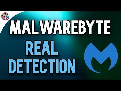 How Does Malwarebytes Work — The Real Detection Method That Separates It from Antivirus