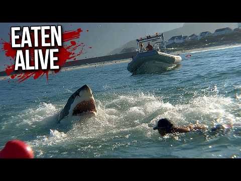 Great White Shark DEVOURS 77-Year-Old Swimmer In Front Of Tourists!