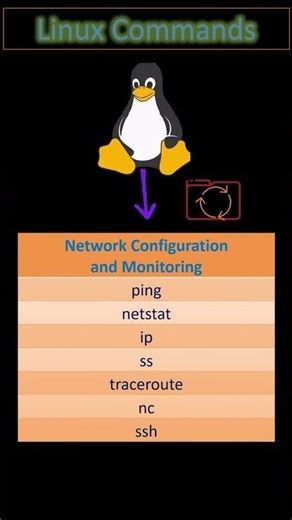 Linux Network Configure & Monitor Commands under 60 Seconds! 🌐🔧 #linux #linuxcommand #linuxshorts