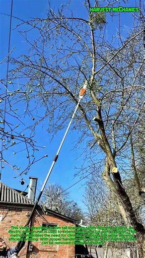 How to Prune High Tree Branches Without a Ladder : Electric Pole Pruner Easiest Way to Trim trees