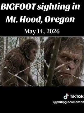 Bigfoot Caught On Camera in Mount Hood? This Footage Has the Internet Freaked Out!