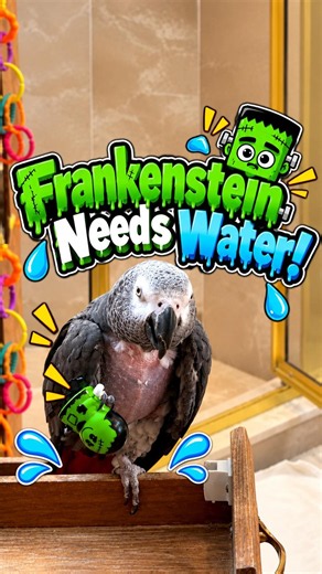 Einstein Parrot