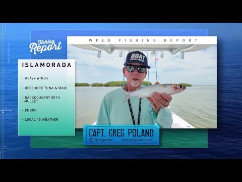 April 16: Local 10 Fishing Report