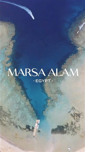 Marsa Alam, Egypt 🇪🇬 | Red Sea Wildlife & Underwater Wonders