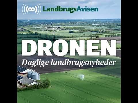 Medie sår tvivl om aggressiv ulv: Dansk video er AI-generet