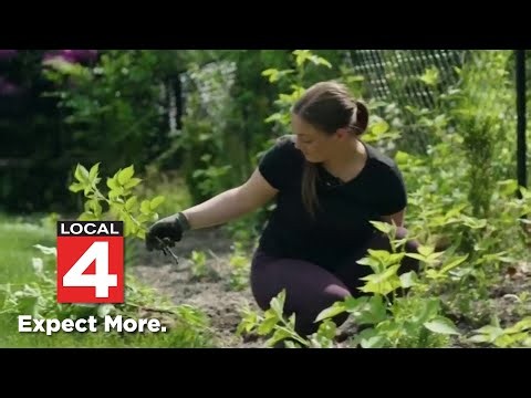 Tick bites are sending record numbers of people to the ER. Here's why.