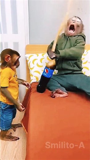 Baby Monkey Soda Prank Backfires 😭🥤