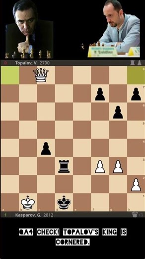 👉The Most BRUTAL Attack in Chess History 😨