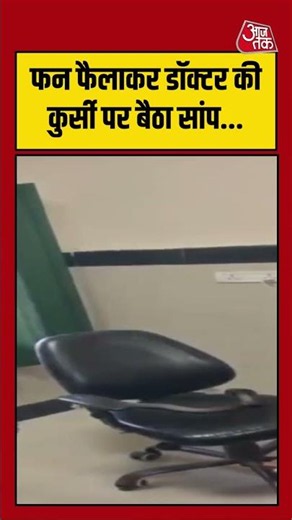 Rajasthan में फन फैलाकर डॉक्टर की कुर्सी पर बैठा सांप... | #snake #viralvideo #shortvideo