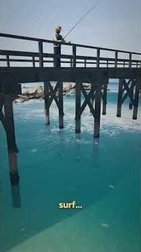 Where Are the Fish Under a Pier? The Best Cast Is No Cast at All 🎣