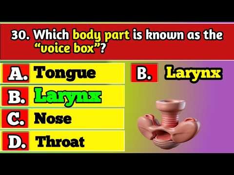 General Knowledge Trivia Quiz | Test Your Brain with Fun Questions & Ultimate Challenge Today!