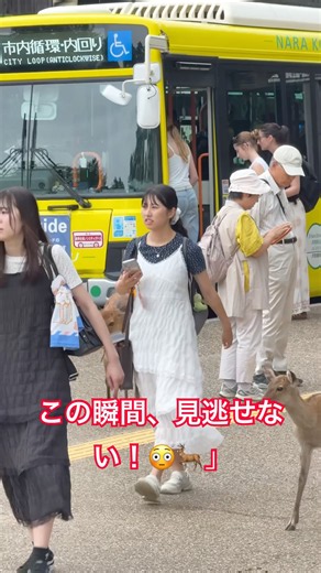 奈良公園でまさかの瞬間！鹿の可愛すぎる行動にびっくり😍🦌 #Shorts