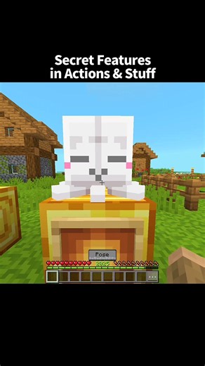 Minecraft: Actions & Stuff Secret Features