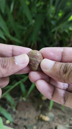 Beautiful Rock