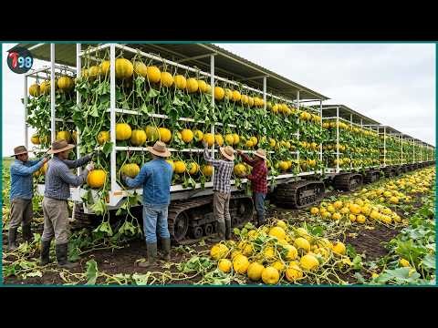 These Powerful Farm Machines Are Transforming Agriculture and Saving Millions - Farming Documentary