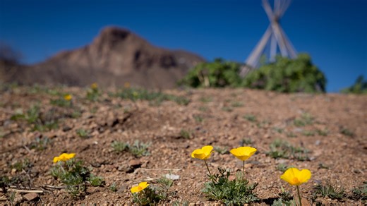 Is today the first day of spring? What time does spring arrive today?