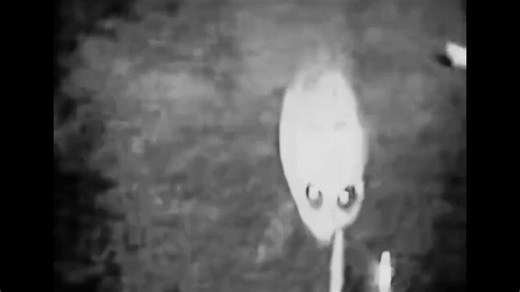 🚨BREAKING: REAL FOOTAGE OF A EXTRATERRESTRIAL LIFE ‘ALIEN’ COMING OUT OF A UFO, PENTAGON RELEASED CONFIDENTIAL VIDEO UNDER TRUMP’s EXECUTIVE ORDER.😱🤯👀THIS IS SO INSANE😭
