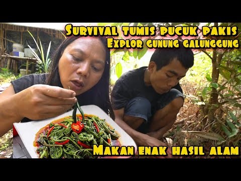 TUMIS PAKIS HASIL ALAM EXOLOLER GALUNGGUNG