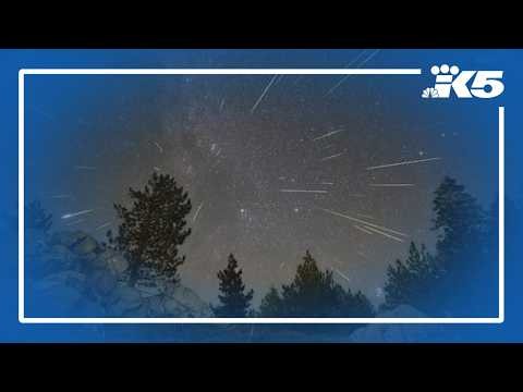 Meteor shower peaks Wednesday during a rare double celestial event