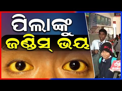 ସ୍କୁଲରେ ଆତଙ୍କ ! Jaundice Scare at Khordha Jawahar Navodaya School | Odia News