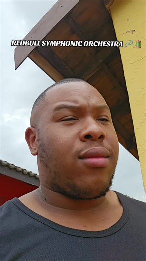 Sjavas Music Genius Deserves an ORCHESTRA ♥️🥺#fyp #sjava #tiktoksouthafrica #trevorswart #music