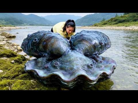 The unique pearl wealth brought by the deformed double headed clam is unimaginable
