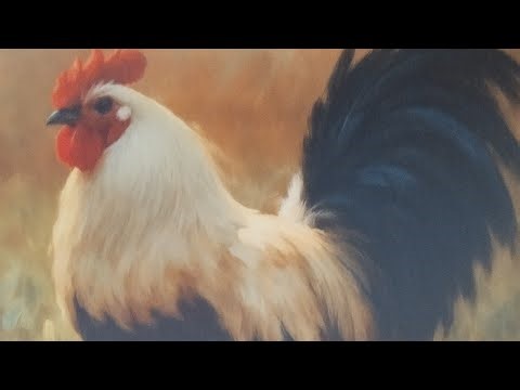 Ελεύθερο Σχέδιο: Ο Τσιουτσιουλίκος Κόκκορας.