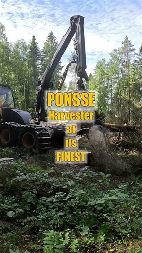 Ponsse Scorpion power at its best! #ponsse #treeremoval