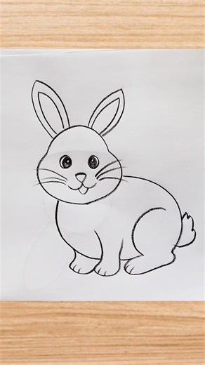 how to draw rabbit drawing easy step by step