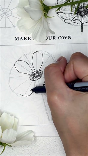 How I draw the cosmos flower ✨