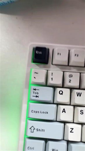 这个网站为愿称之为本年度最佳发现！#期末考试 #Python #知识分享 #编程 #大学生