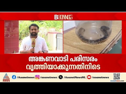 പാലക്കാട് അങ്കണവാടി ടീച്ചര്‍ക്ക് പാമ്പ് കടിയേറ്റു; കടിച്ചത് വിഷ പാമ്പല്ല | Snake | Palakkad