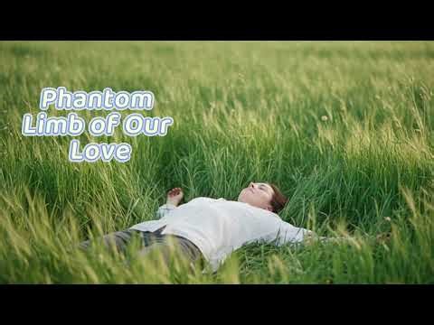Phantom Limb of Our Love