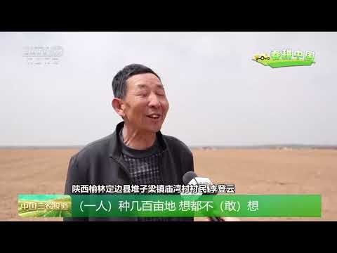 [中国三农报道]春耕中国 陕西榆林 智慧农机种玉米 一天播种近100亩 | 农业致富经 Agriculture And Farming