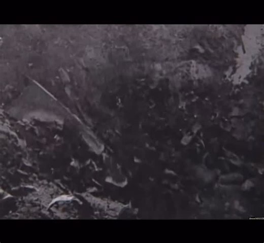 BlackcatSAP on Instagram: "Footage and photos connected to the Roswell incident are listed in the U.S. National Archives catalog. The material appears to be archival reference footage and images compiled for later Air Force research, not confirmed original crash-site recordings from 1947. What stands out is that Roswell-related evidence was formally preserved and studied using assembled source material rather than a single public explanation. Source: National Archives Catalog https://catalog.arc