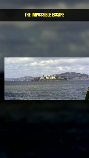 The Story of The 1962 Alcatraz Escape: The Impossible Breakout 😱 What really happened? Share your theory below! 👇 #alcatraz #truecrime #prisonbreak #history #mystery #fbi #crimetok #fyp