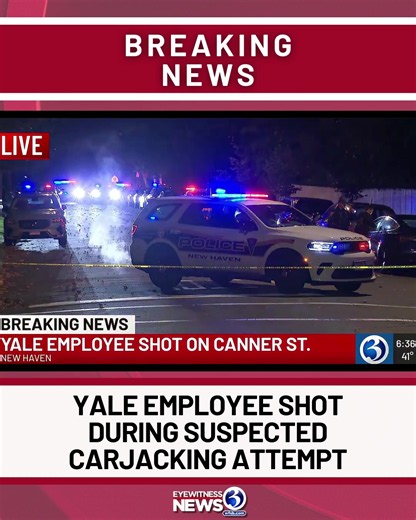 BREAKING UPDATE: A Yale employee was shot during a suspected carjacking attempt, the university's police department says. #fyp #Yale #connecticut #crime