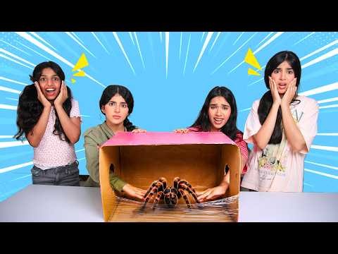 تحدي الصندوق مع شفا !!
