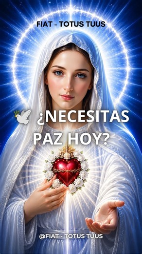 ¿Necesitas Paz Hoy? 🕊️ Rezo del Santo Rosario y Oraciones para Tu Hogar #fecatolica #shorts