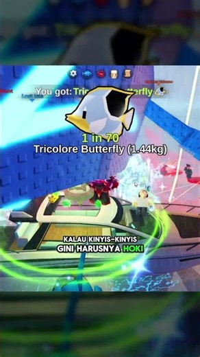 LOMBA FISH IT NARIK SKELETON NARWAL, EH YANG MENANG MALAH AYANGKU YANG BARU DATENG - Fish It