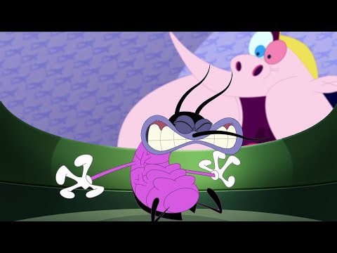 Oggy and the Cockroaches - Joey the Guinea Pig | BEST CARTOON COLLECTION | New Episodes in HD