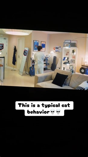 Understanding Typical Cat Behavior
