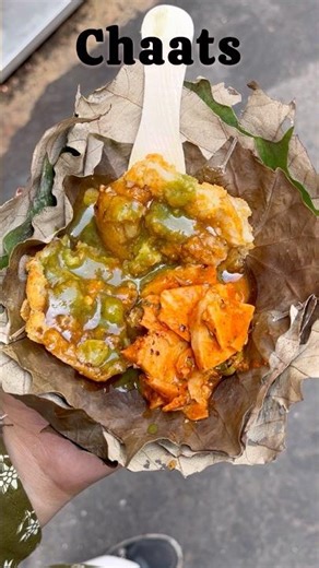 Food challenge:Eating only different types of chaats |#food #streetfood #momos #streetfood