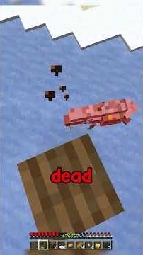 Minecraft, But Damage Gives Me More Pixels…