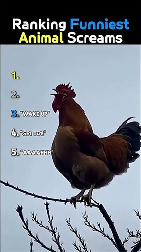 Ranking The Funniest Animal Screams Ever! 🐐😭 #Shorts