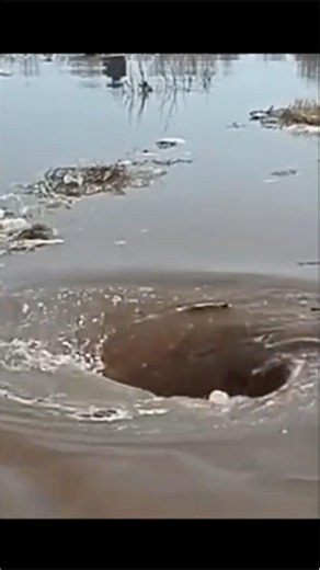 Whirlpool! 🌊😱 #Nature’s Powerful Water Phenomena! #Water Vortex #Whirlpool #Ocean #Nature #shorts