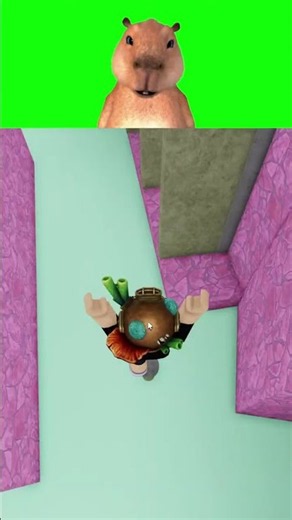 Roblox playing obby