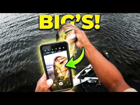 Catching BIG'S! Chatterbait fishing for big largemouth bass!