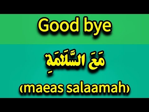 Learn Arabic Conversation with English Translation | Daily Arabic Speaking Practice | Arabic