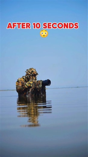You Won’t Believe This Wildlife Moment 😱 #photography #wildlife #nature